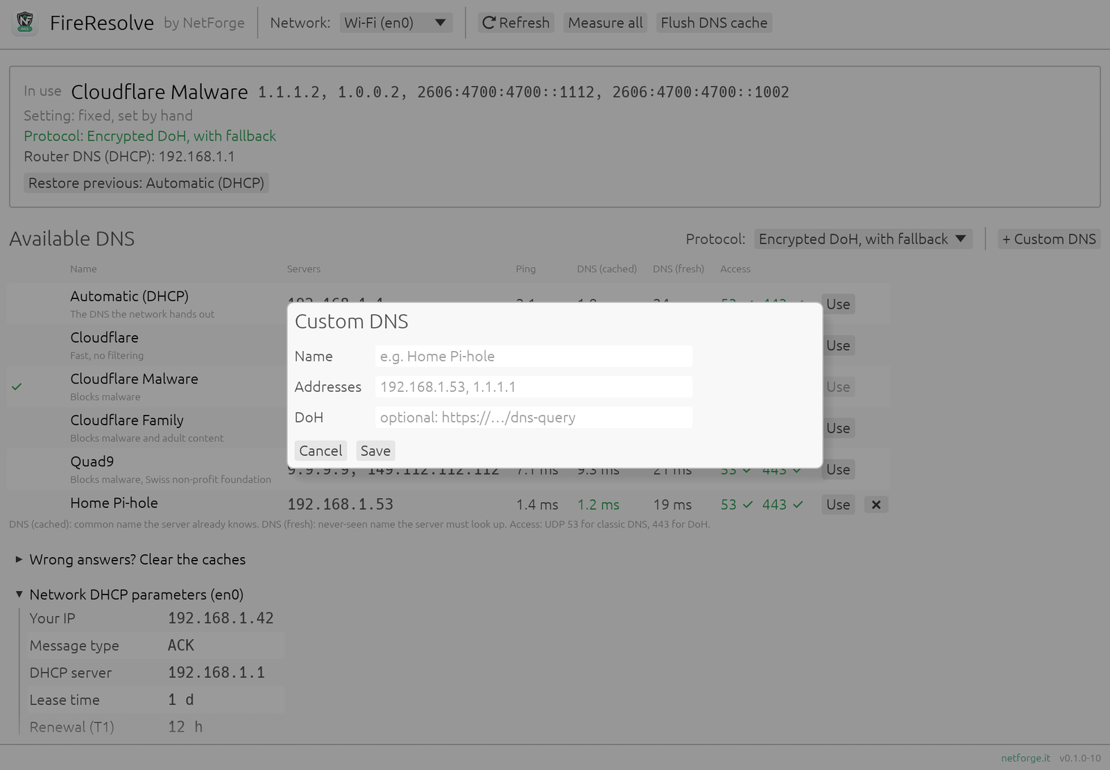 Adding a custom DNS